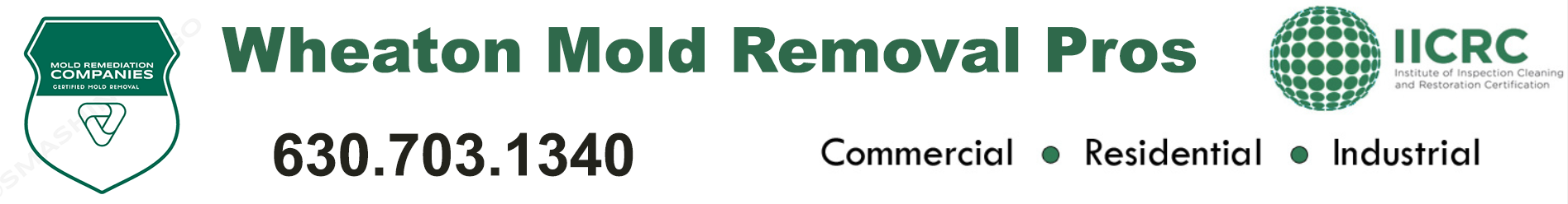 Wheaton Mold Removal Pros